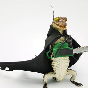 Può includere: Un piccolo alligatore che indossa un mantello nero e tiene una motosega verde. L'alligatore ha occhi gialli e un ghigno pieno di denti.