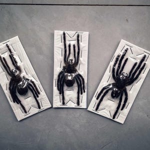 May include: Three black spider specimens preserved and displayed on individual rectangular white cards. Each spider is secured to its respective card with clear plastic film and small metal staples, showing detailed leg and body structures.