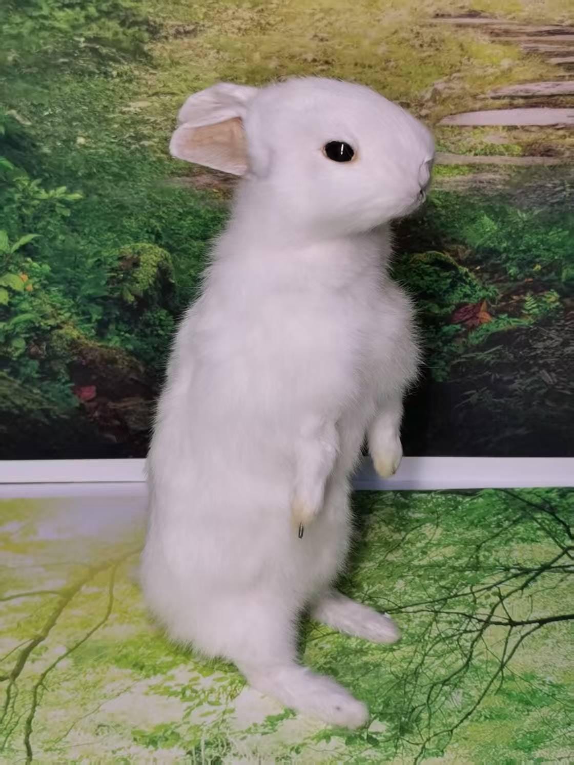 Single-head White Rabbit Taxidermy – Exquisite Vintage Snow White