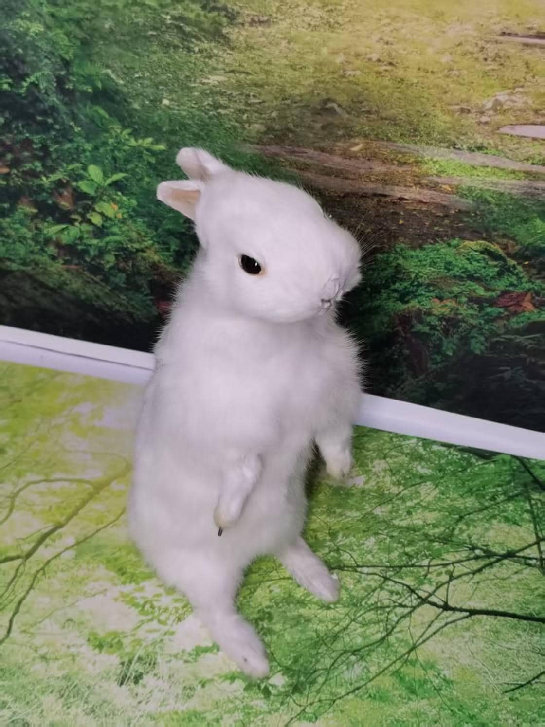 Single-head White Rabbit Taxidermy – Exquisite Vintage Snow White