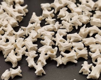 20 ethically sourced snake bones (7-12 mm) for unique jewellery