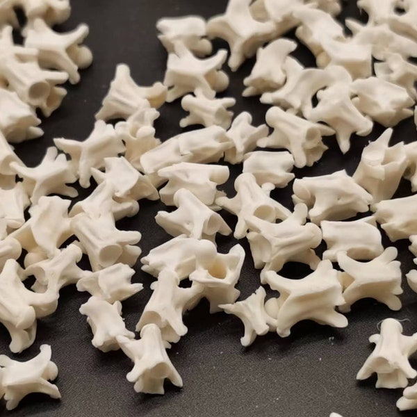 40 ethically sourced snake bones (7-12 mm) for unique jewellery