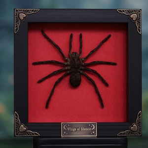 Op de afbeelding: Een ingelijst, donkerbruin spinnenexemplaar met acht poten, tentoongesteld tegen een rode achtergrond. Het zwarte frame heeft decoratieve hoekaccenten en een klein plaatje met de tekst "Wings of Silence".