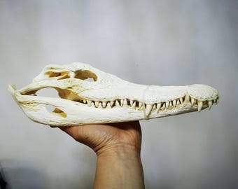 ペイントされた鹿の頭蓋骨のクロムヘナデザイン - Etsy 日本