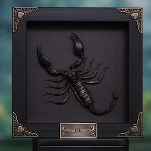 Puede incluir: Obra de arte enmarcada con un escorpión oscuro y detallado sobre un fondo negro. El escorpión es el punto focal, con sus pinzas levantadas. El marco es negro con detalles decorativos en las esquinas y una placa pequeña con "Wings of Silence".