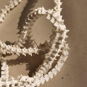 A whole genuine rattlesnake vertebrae bead - unique natural crafted material