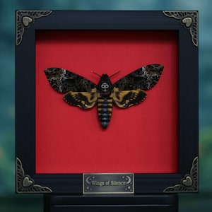 Framed Death's-Head Hawkmoth Specimen - Unique Gothic Insect Art, 6x6 Inch Shadow Box for Dark Home Decor, Taxidermy & Curiosity Collection