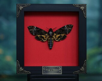 Framed Death's-Head Hawkmoth Specimen - Unique Gothic Insect Art, 6x6 Inch Shadow Box for Dark Home Decor, Taxidermy & Curiosity Collection