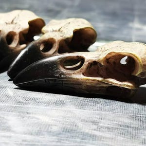Resin Crow Skull | Gothic Desk Decor | Nature-Inspired Art | Unique Raven Skull Replica