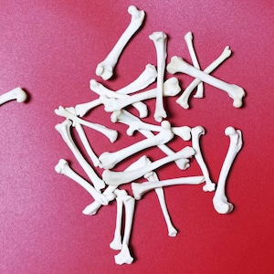 10 real mink leg bones, bleached.
