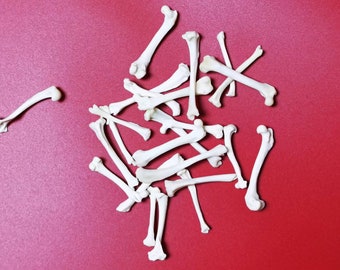 10 huesos de pata de visón reales, blanqueados.