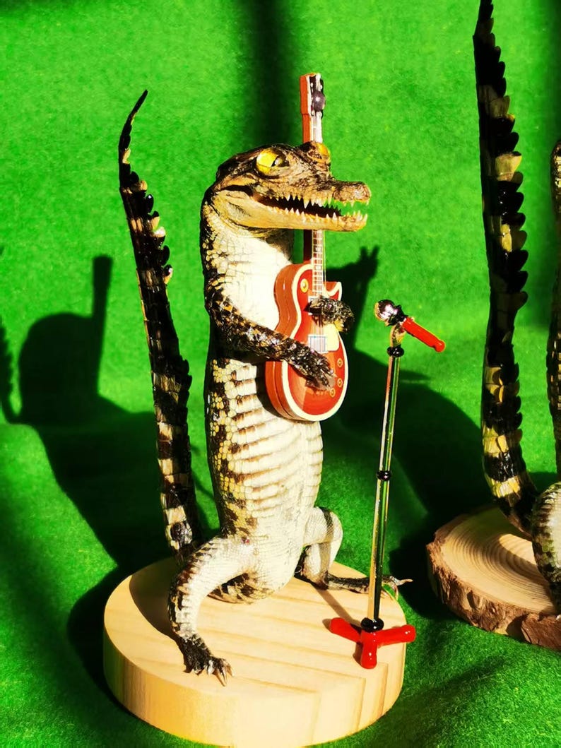 May include: A taxidermied alligator holding a miniature electric guitar and a microphone stand on a wooden base. The alligator is posed as if it is playing the guitar. The background is a green surface.
