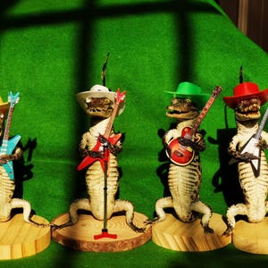 May include: Four taxidermied alligators wearing hats and playing toy guitars. The alligators are wearing a variety of hats, including a cowboy hat, a green fedora, a red cowboy hat, and a yellow cowboy hat. The guitars are all different colors and styles.
