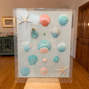 May include: A rectangular clear acrylic display case containing a collection of seashells and starfish arranged on a light blue background. The display features various scallop shells in shades of pink and turquoise, two white starfish, and one small green starfish.