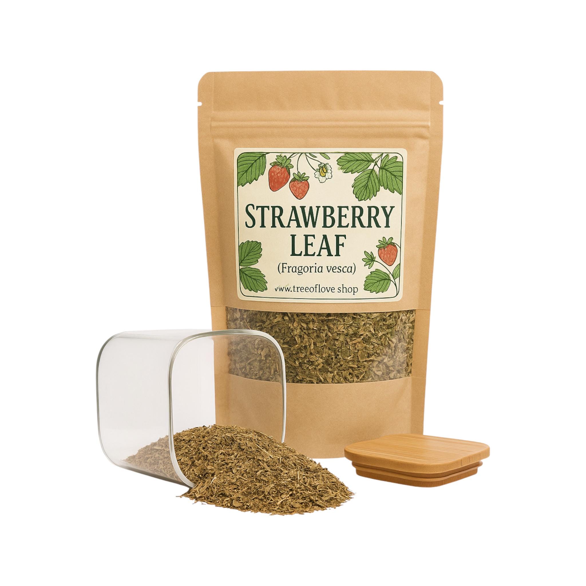 Strawberry Leaf Wildcrafted |  Fragaria Vesca | Tea| Herbal | Loose | Herb | Fresh Harvested | Premium Quality