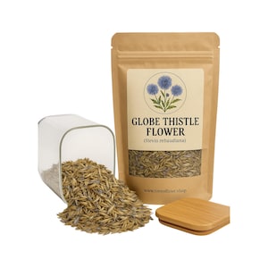 Fiore di cardo sferico / Echinops Ritro / echinops / Erbe / Sfuse / Erbe aromatiche / Raccolte fresche / Qualità premium