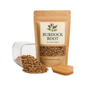 Raíz de bardana / Té / Arctium Lappa / Hierbas / Suelto / Hierba / Cosechado fresco / Calidad premium