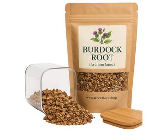 Raiz de bardana | Chá | Arctium Lappa | Herbal | Solto | Erva | Fresco colhido | Qualidade Premium
