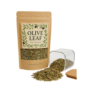 オリーブの葉のカット | オリーブの葉 | お茶 | Olea europaea | ハーブ | ルース | ハーブ | 新鮮に収穫 | プレミアム品質