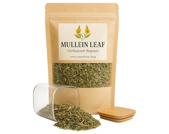 Mullein Leaf Tea |  Mullein | Verbascum thapsus | Wild crafted| Herbal | Loose | Herb | Fresh Harvested | Premium Quality