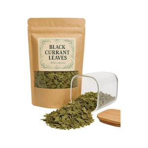 Black Currant Tea | Black Currant Leaf | Ribes nigrum| Herbal | Loose | Herb | Fresh Harvested | Premium Quality
