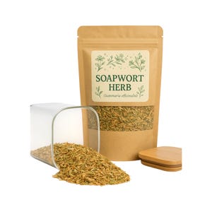 Seifenkraut Kraut | Saponaria Officinalis| Pflanzlich | Locker | Kraut | Frisch Geerntet | Premium-Qualität
