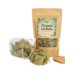 Usnea Lichen | Usnea barbata | Whole | Wild Crafted