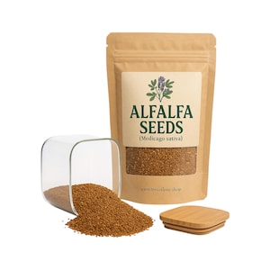 Alfalfa Seeds | Medicago Sativa| Herbal | Loose | Herb | Fresh Harvested | Premium Quality