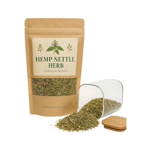 Hanf Nesselkraut | Galeopsis L. - Galeopsis Tetrahit | Pflanzlich | Locker | Kraut | Frisch Geerntet | Premium-Qualität