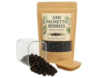 Frutos de Saw Palmetto | Fruto de Saw Palmetto | Serenoa repens | Inteiro | Cortados | Pó | Erva | A granel | Erva
