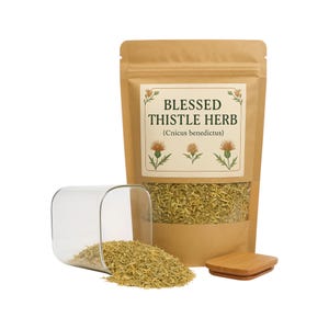 Blessed Thistle |  Cnicus benedictus| Herbal | Loose | Herb | Fresh Harvested | Premium Quality