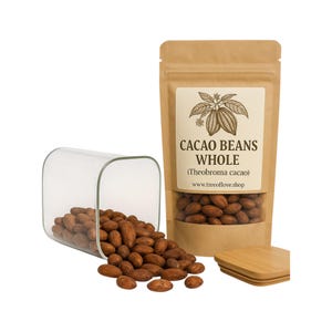 Cacao Beans Whole | Criollo | Organic | Theobroma Cacao | Cocoa Beans |  Premium Quality| Herbal | Loose | Herb