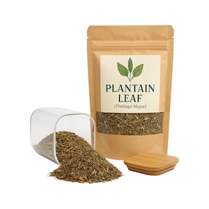 Plantain Leaf | Plantago Major | Plantain Tea || Herbal | Loose | Herb | Fresh Harvested | Premium Quality