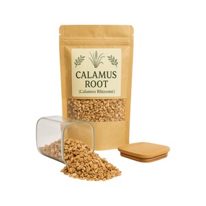 Poudre de racine de calamus | Racine de drapeau doux | Acorus calamus| À base de plantes | En vrac | Herbe | Fraîchement récolté | Qualité supérieure