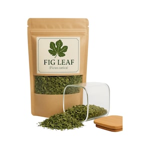 Vijgebladkruid | Vijgebladthee | BIO | Ficus Carica Folia| Kruiden | Los | Kruid | Vers geoogst | Premiumkwaliteit