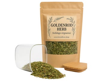 Goldrute Kraut | Bio | Solidago virgaurea| Pflanzlich | Locker | Kraut | Frisch Geerntet | Premium-Qualität