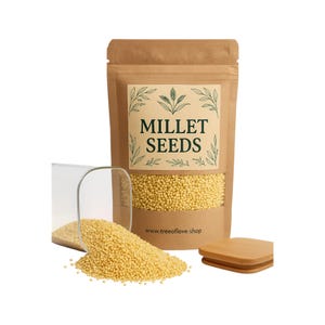 Organic Millet Seeds | Hulled Millet Seeds| Herbal | Loose | Herb | Fresh Harvested | Premium Quality