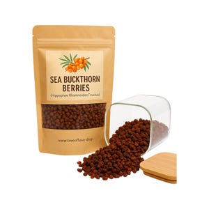 Sanddorn Beeren |  Hippophae Rhamnoides| Pflanzlich | Locker | Kraut | Frisch Geerntet | Premium-Qualität