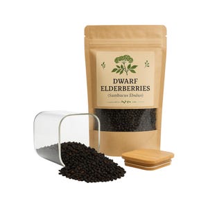 Elderberry  | Sambucus Nigra| Herbal | Loose | Herb | Fresh Harvested | Premium Quality
