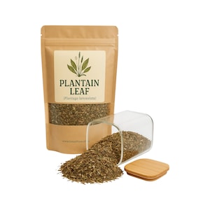 Plantain Leaf | Wildcrafted Organic | (Plantago Lancoelata) | Plantain Tea| Herbal | Loose | Herb | Fresh Harvested | Premium Quality