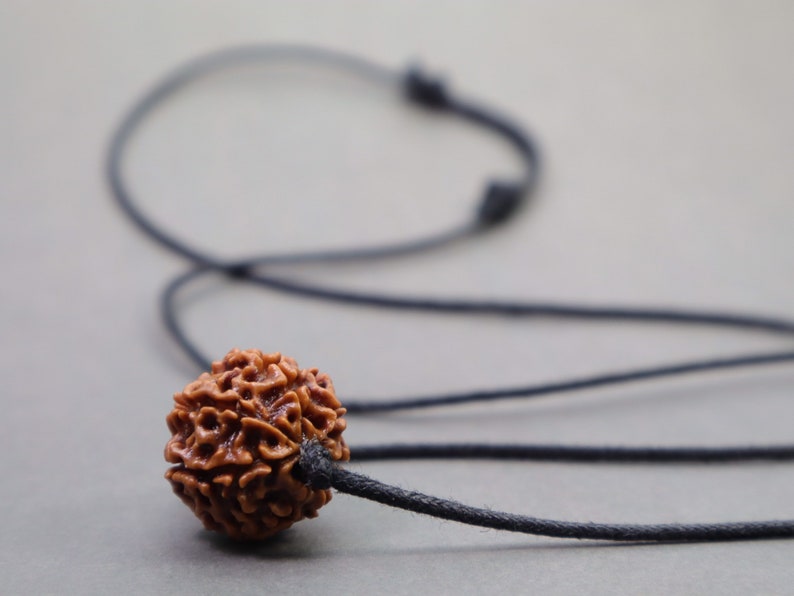 rudraksha seed necklace