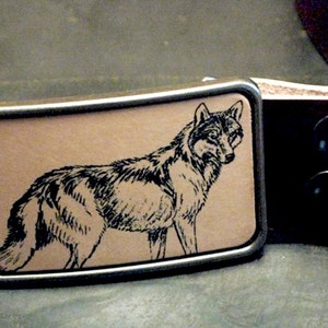 Coyoteleren riemgesp
