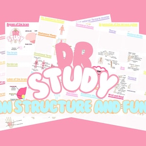 May include: A set of colorful printable study guides for human anatomy and physiology. The guides feature illustrations and text with the title "DR STUDY HUMAN STRUCTURE AND FUNCTION".