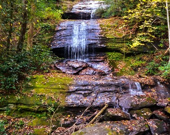 May include: A cascading waterfall flows down a rocky hillside, surrounded by lush green and yellow foliage. The water plunges over dark, layered rocks, creating a scenic natural landscape. Fallen leaves and moss add texture to the scene.