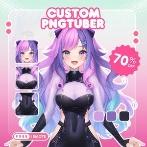 Custom Pngtuber, Pngtuber Character, Pngtuber, Pngtuber Design, Live2d Commission, Live2d model, Pngtuber for Stream Twitch youtube facebook