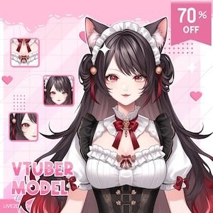 Custom Vtuber Model for Commercial Use| Vtuber Commission | Vtuber Design | Vtuber Assets | Pngtuber | Live2d Commission | live2d model