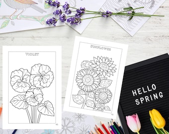 Disegni di fiori da colorare per adulti: disegni di giardini botanici (PDF stampabile)