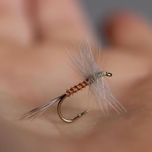 3-pack, Hendrickson Dry Fly