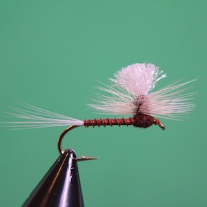 3-pack, Isonychia Parachute Dry Fly