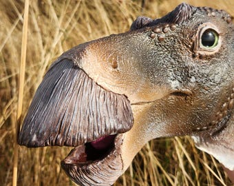 Maiasaura - Dinosaur Decor - Wall Mount